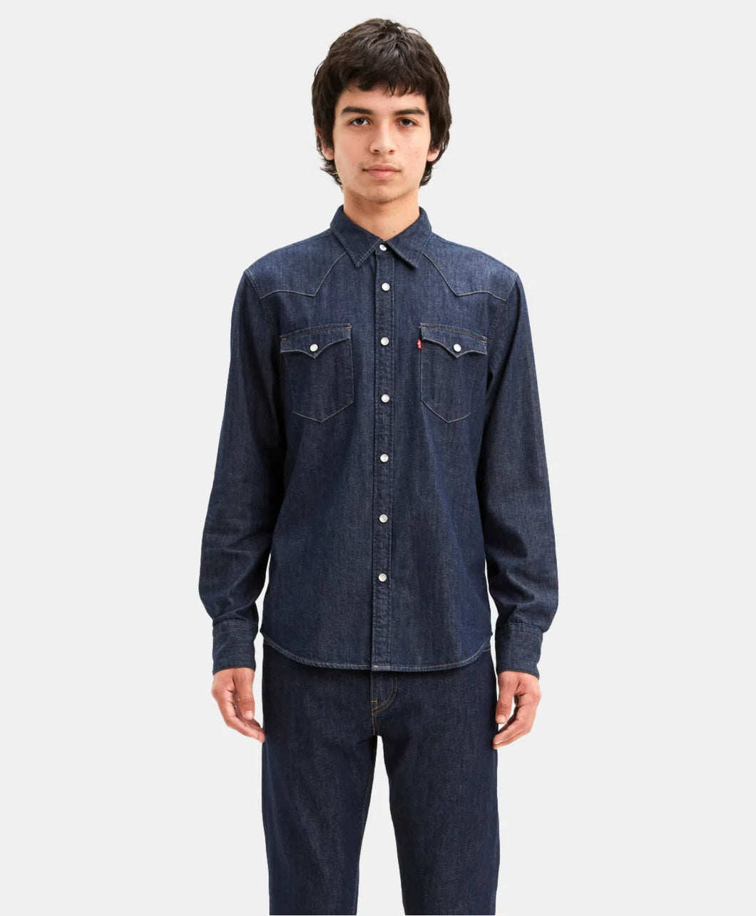 Camisa Caballero Levi´s® Barstow Western Mod. 669860118