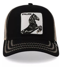 Cargar imagen en el visor de la galería, Gorra Goorin Bros® Stallion 101-0393