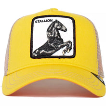 Cargar imagen en el visor de la galería, Gorra Goorin Bros® Stallion 101-0393