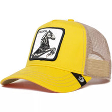 Cargar imagen en el visor de la galería, Gorra Goorin Bros® Stallion 101-0393