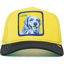 Cargar imagen en el visor de la galería, Gorra Goorin Bros® Loyal 101-1037 Edición Especial